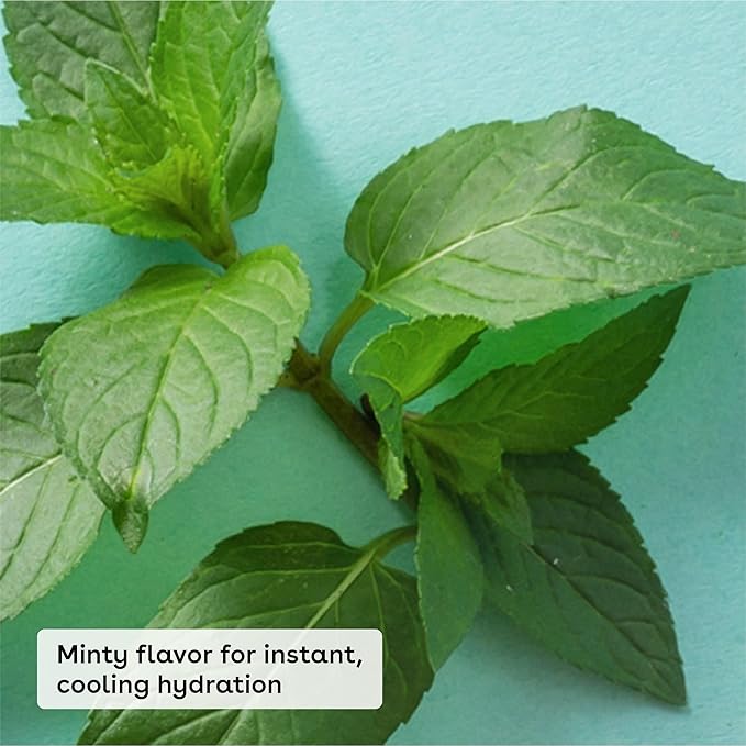 eos Medicated Lip Balm - The