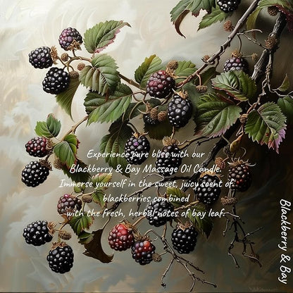 MELONY Massage Oil Candle for Pure Relaxation- 8.1 oz- Moisturizing Essential Oil Body Massage Candle for Home Spa- Amazing Gift for Women & Men (BlackBerry & Bay)