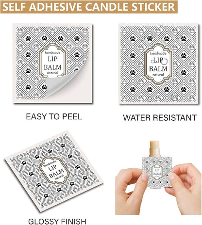 CRASPIRE 80Pcs 8 Styles Lip Balm Lipsticks