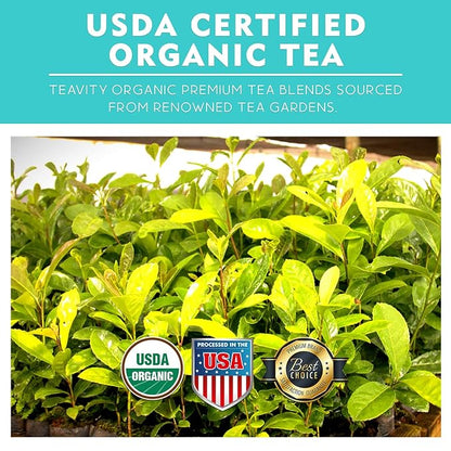 Organic Yerba Mate Refreshing Mint Tea Pods - Naturally Caffeinated Yerba Mate Tea Pod for Keurig Brewers by Teavity (36 Tea Pods)