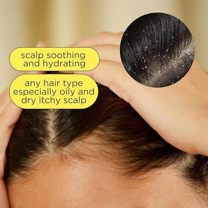 Pacifica Clarifying Shampoo – Rosemary Purify Invigorating Shampoo w/Soothing Mint for Detoxing Hair & Scalp Build-Up, Sulfate & Silicone Free - Vegan & Cruelty-Free Dermatologist Tested