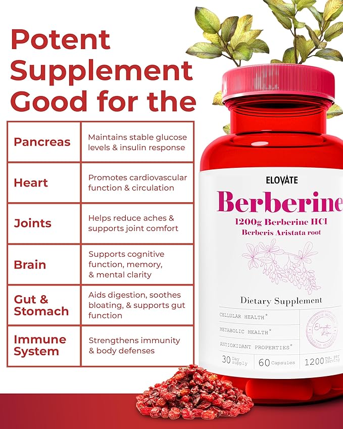 Elovate Berberine HCI Capsules, 1200mg - All-Natural, 3rd-Party-Tested, Non-GMO & Gluten-Free Berberine Supplement for Heart & Digestion, 60 Counts