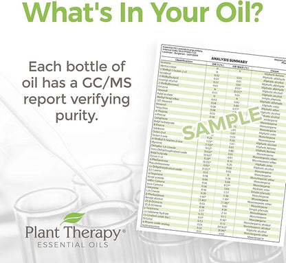 Plant Therapy KidSafe Better Than Kisses Balms