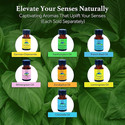 Sherpa Botanicals French Basil Essential Oil - 100% Pure & Natural Oils - Ideal for Diffuser Blends, Aromatherapy, Home Fragrance - Herbaceous Aroma for Home & Wellness - Vegan, Paraben-Free, 15mL