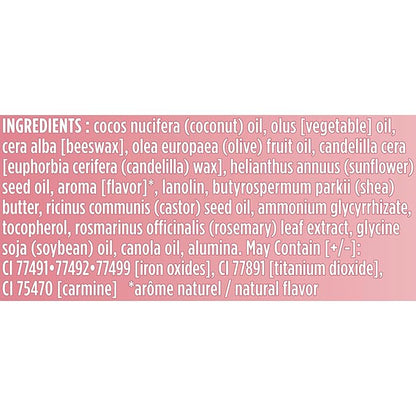 Burt's Bees Lip Tint Balm