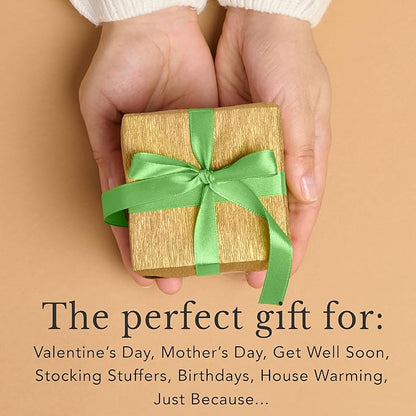 Organic Lip Balm Multi Flavor - 4 Pack