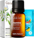 Gya Labs Jasmine Essential Oil for Diffuser - 0.17 Fl Oz - 100% Pure Natural Jasmine Oil for Skin, Hair, Body Massages Aromatherapy, Candle Making - Floral & Alluring Scent