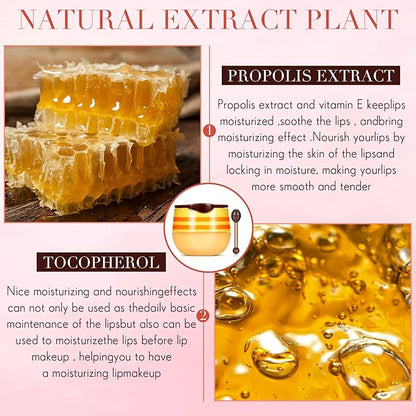 12 Pcs Bee Lip Balm Honey