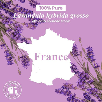 Handcraft Blends Lavender Essential Oil - 1 Fl Oz - 100% Pure and Natural - Premium Grade Essential Oil for Diffuser and Aromatherapy