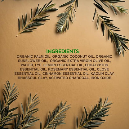 Citrus Spice Scented Bar Soap -