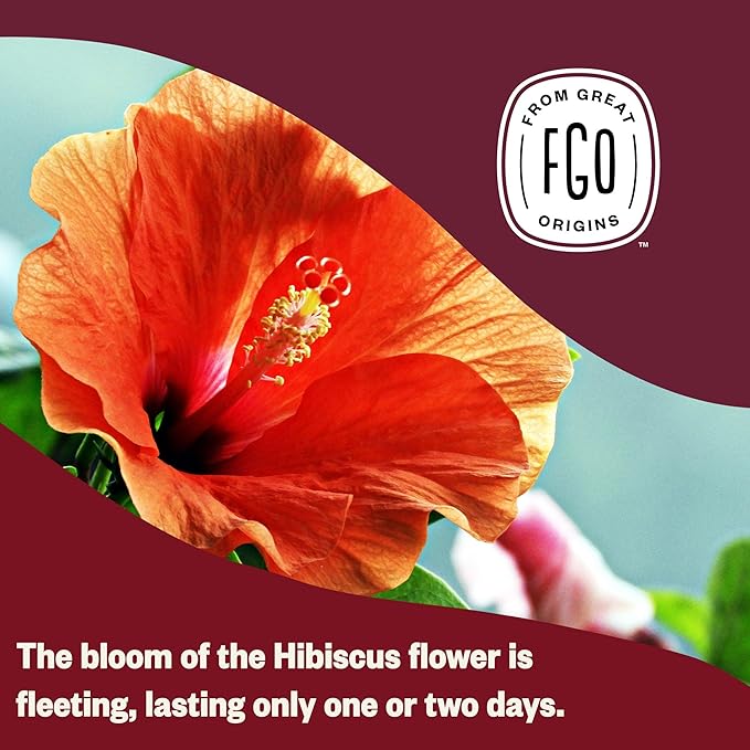 FGO Organic Hibiscus Herbal Tea, 20 Count, Eco-Conscious Tea Bags, Caffeine Free, Resealable Bag, Packaging May Vary (Pack of 1)