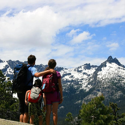 Badger Highland Mint Classic Lip Balm 0.15oz