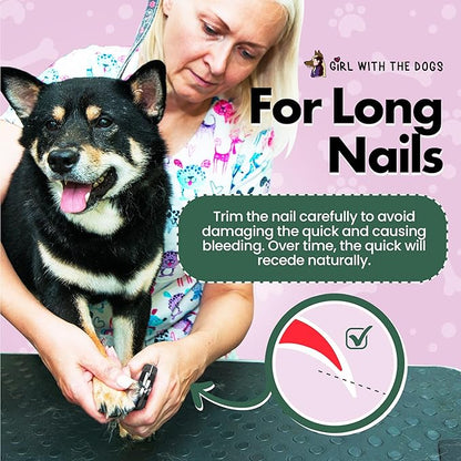 Pet nail clippers by girl