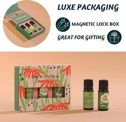 Folkulture Essential Oils for Diffuser Oil | Essential Oils Set of 3 Fragrance Oils | Diffuser Oils Scents for Home | Oil for Diffuser - Vanilla Caramel, Lavender Essential Oil
