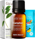 Gya Labs Camphor Oil for Candle Making Scent - 0.34 Fl Oz - 100% Pure Natural Camphor Oil for Skin, Hair, DIY, Aromatherapy - Fresh Sharp & Slightly Woody Scent