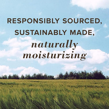 Burt's Bees 100% Natural Tinted Lip Botanical