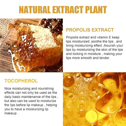 4Pcs Lip Balm Honey Pot, Propolis Exfoliator.