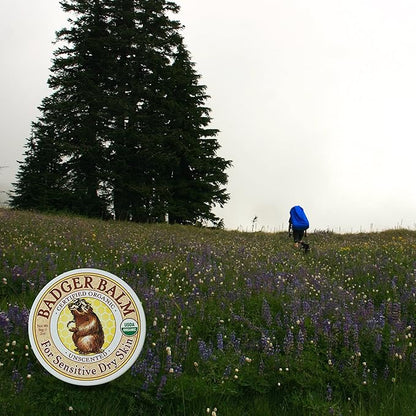 Badger - Unscented Dry Skin Balm,