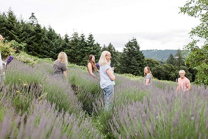 Victoria's Lavender Natural Body Products Gift