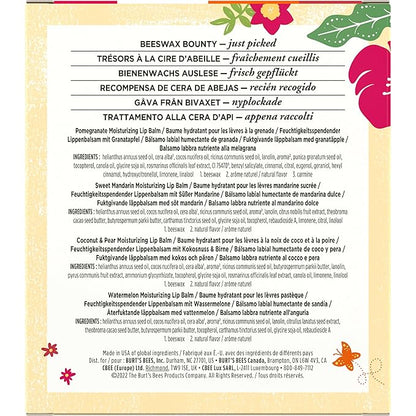 Burt's Bees Gifts, 4 Lip Balm Watermelon